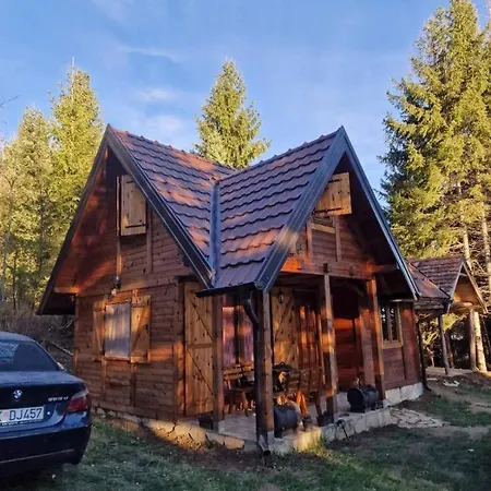 Koljeba Makica I Ikica *