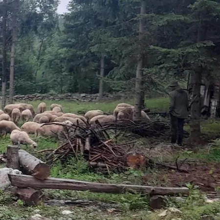 Σπίτι διακοπών Koljeba Makica I Ikica *